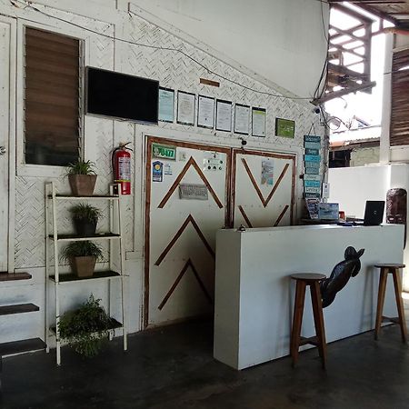 Tribal Xperience Guesthouse San Vicente  Εξωτερικό φωτογραφία